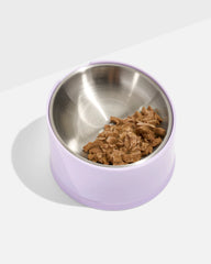 Angled Cat Food Bowl
