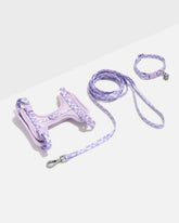 Cat Harness & Leash + Collar Kit