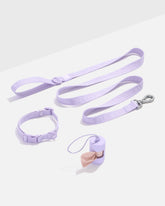 Quick-Release Collar and Lightweight Leash Walk Kit