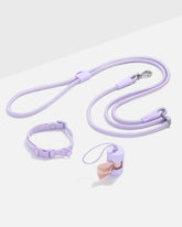 Quick-Release Collar and Hands-Free Rope Leash Walking Kit