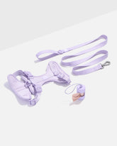 Cushioned Harness and Lightweight Leash Walk Kit
