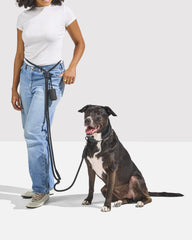 Hands-Free Waterproof Dog Walking Kit with Collar and Rope Leash