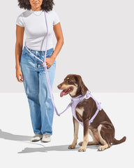 Cushioned Harness & Hands-Free Rope Leash Walk Kit