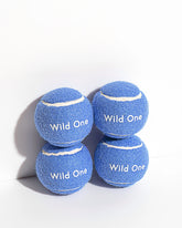 Tennis Balls (4-Pack)