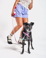 Hands-Free Waterproof Dog Walking Kit with Collar and Rope Leash