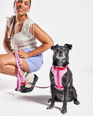 Cushioned Dog Harness