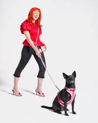 Cushioned Harness & Hands-Free Rope Leash Walk Kit