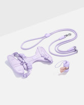 Cushioned Harness & Hands-Free Rope Leash Walk Kit