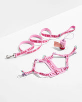 Step-In Harness and Lightweight Leash Walking Kit