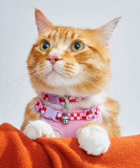 Cat Harness & Leash + Collar Kit
