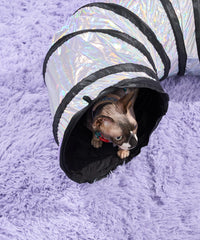 Interactive Cat Tunnel for Play and Exercise