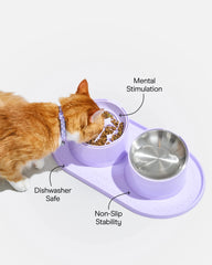 Cat Meal Kit