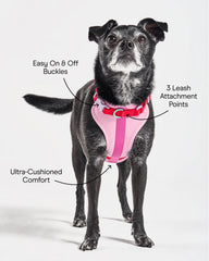 Cushioned Dog Harness