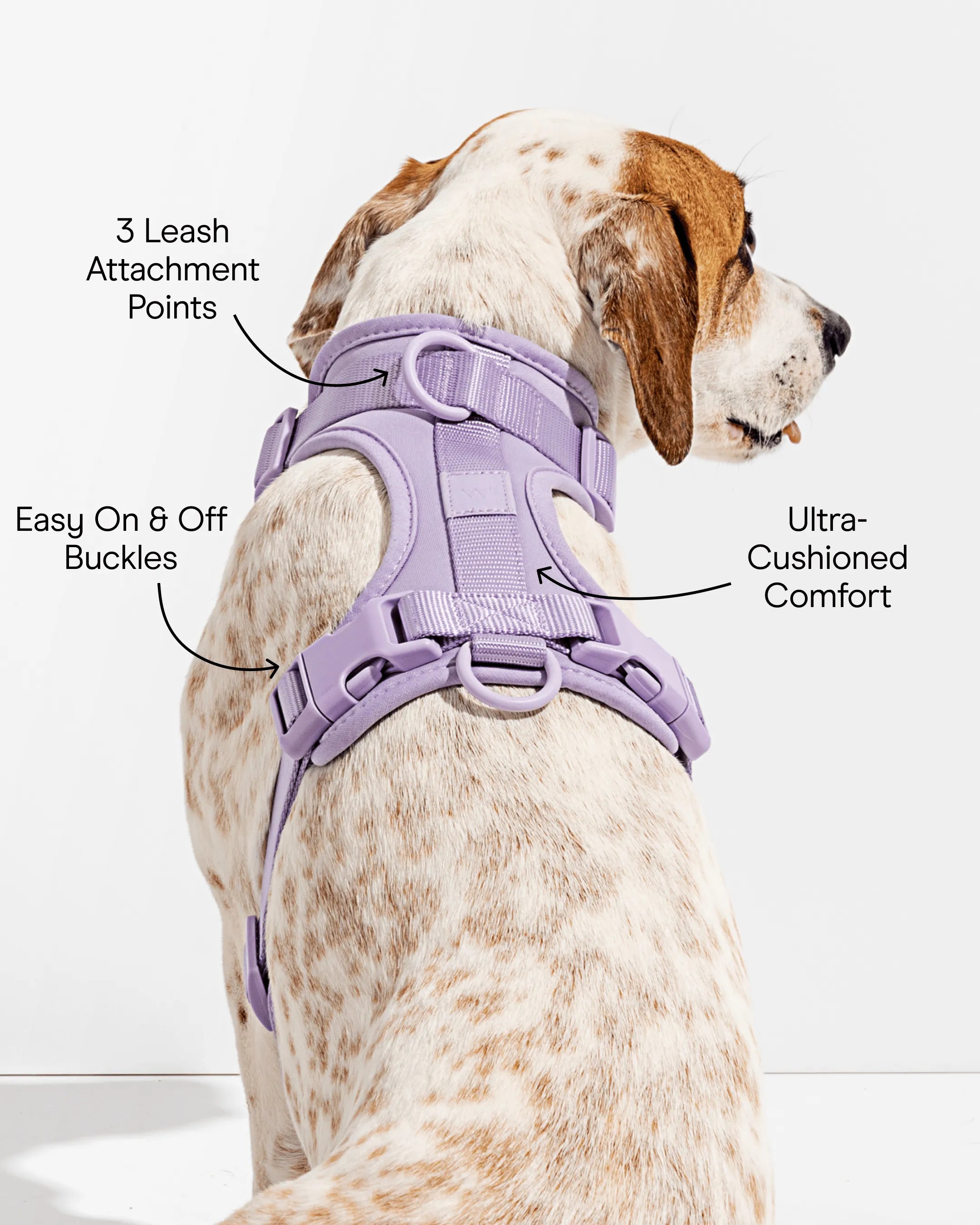 Cushioned Dog Harness