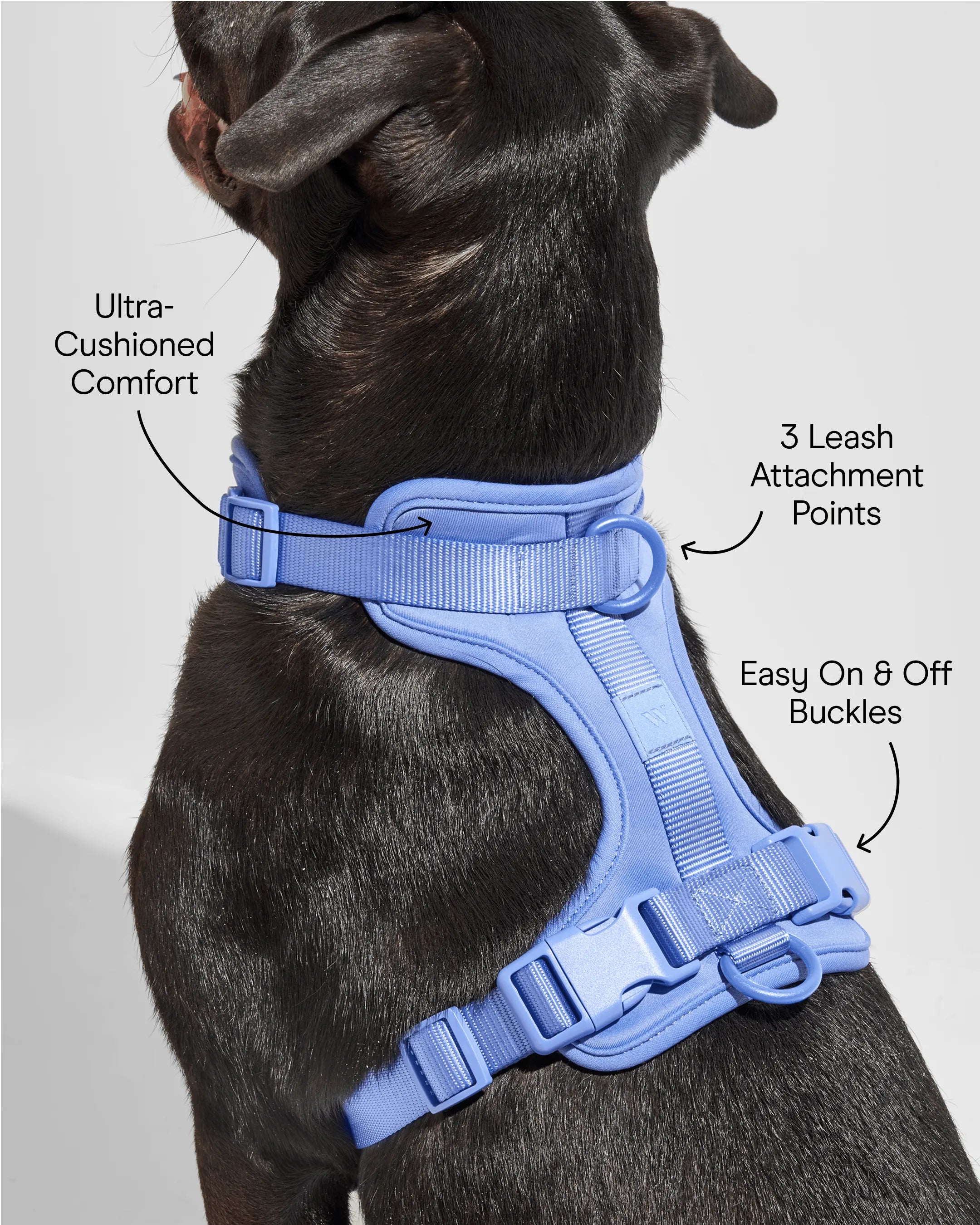 Cushioned Dog Harness
