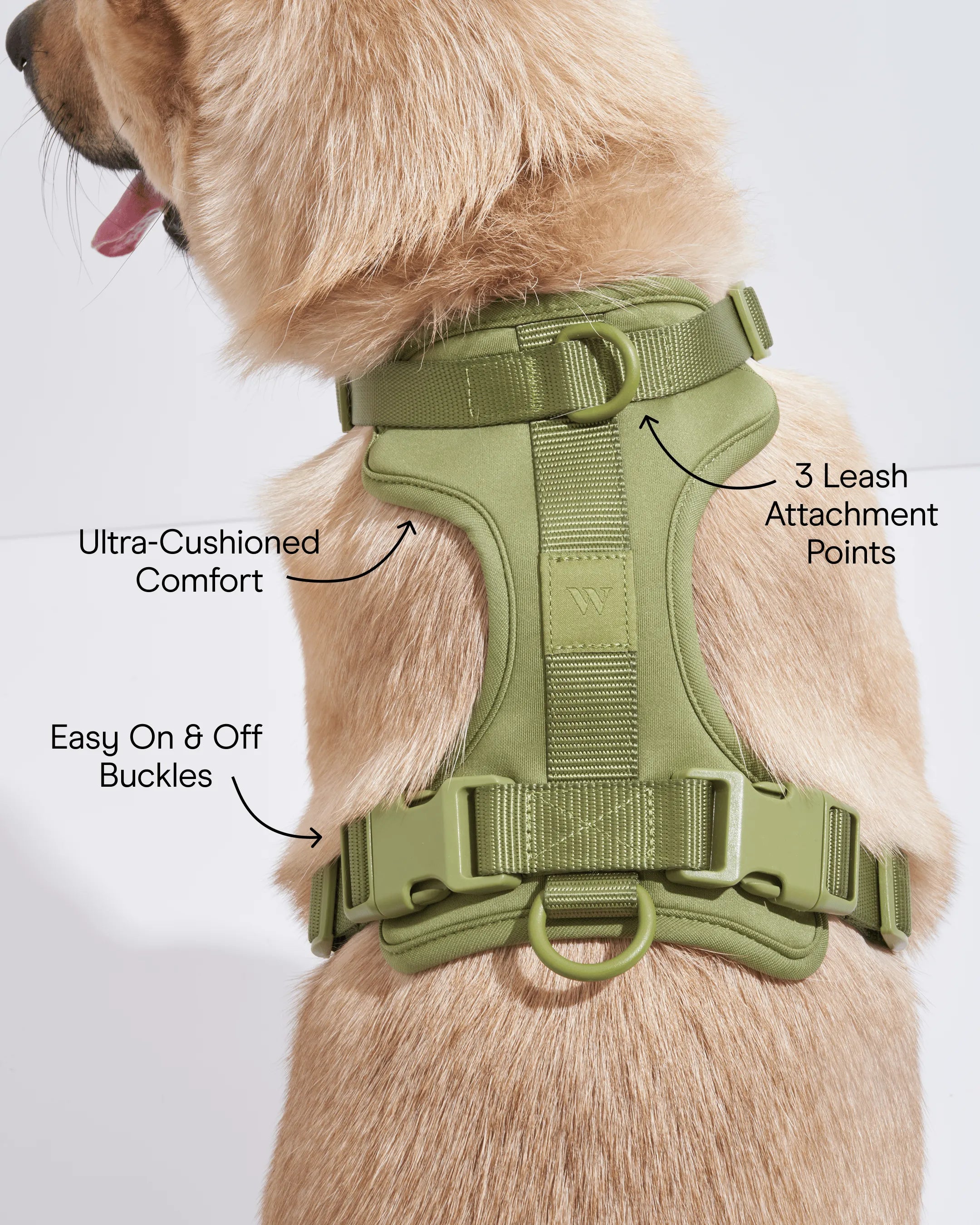 Cushioned Dog Harness