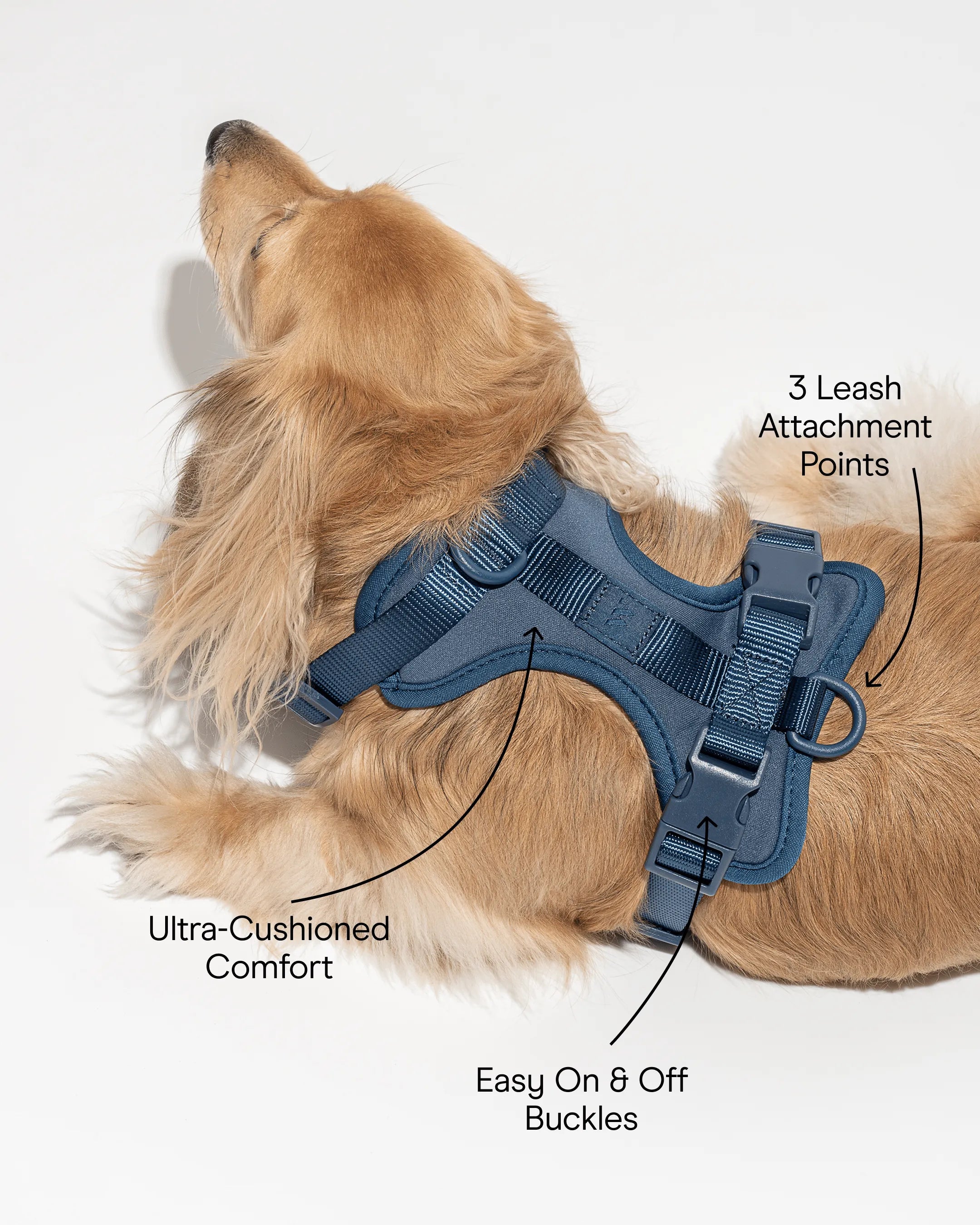 Cushioned Dog Harness