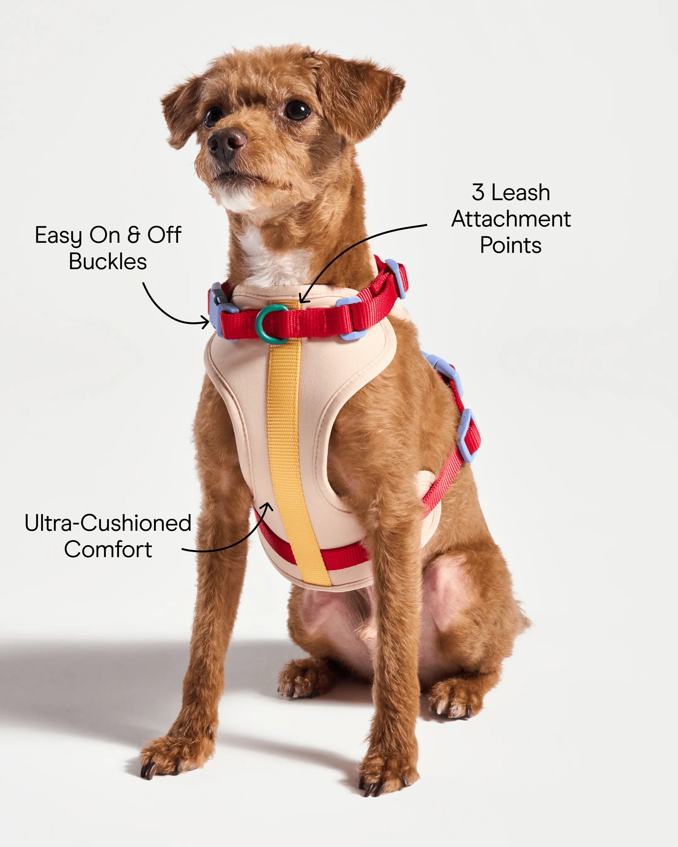 Cushioned Dog Harness