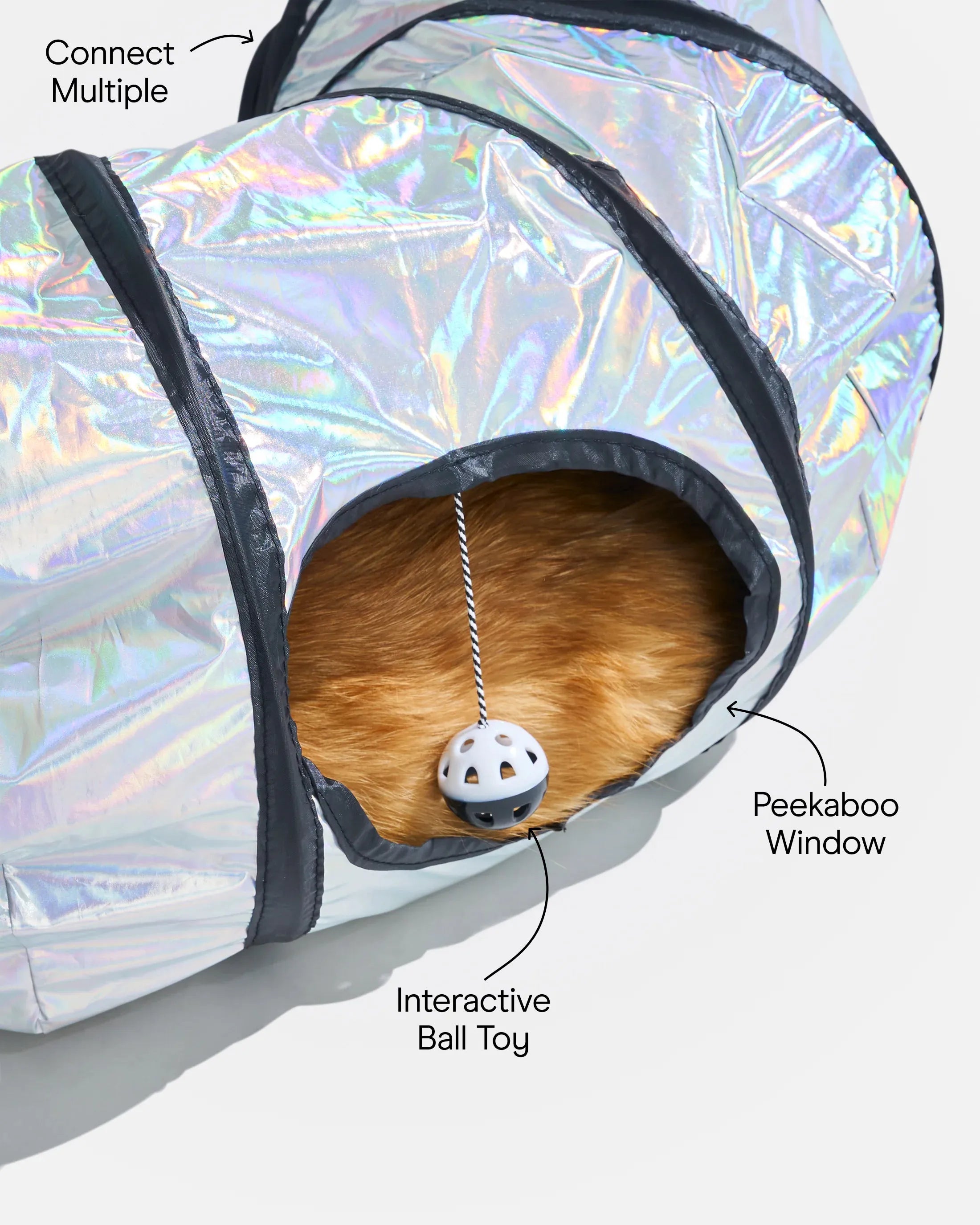 Interactive Cat Tunnel for Play and Exercise