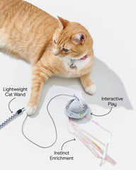 Cat Wild Wand