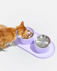 Cat Meal Kit