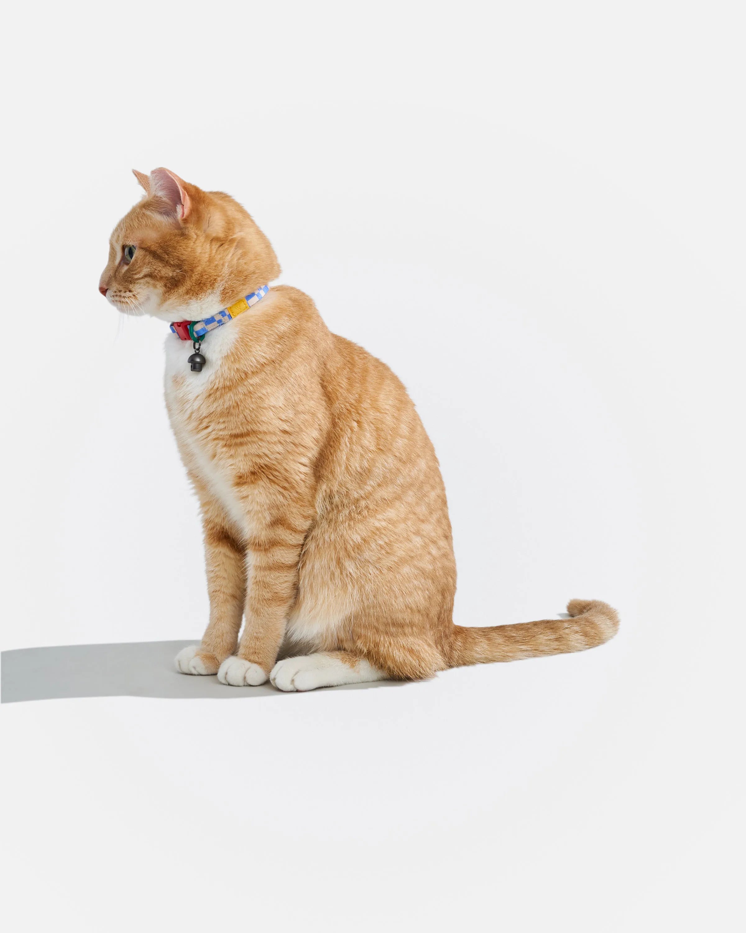 Breakaway Cat Collar