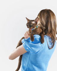 Breakaway Cat Collar