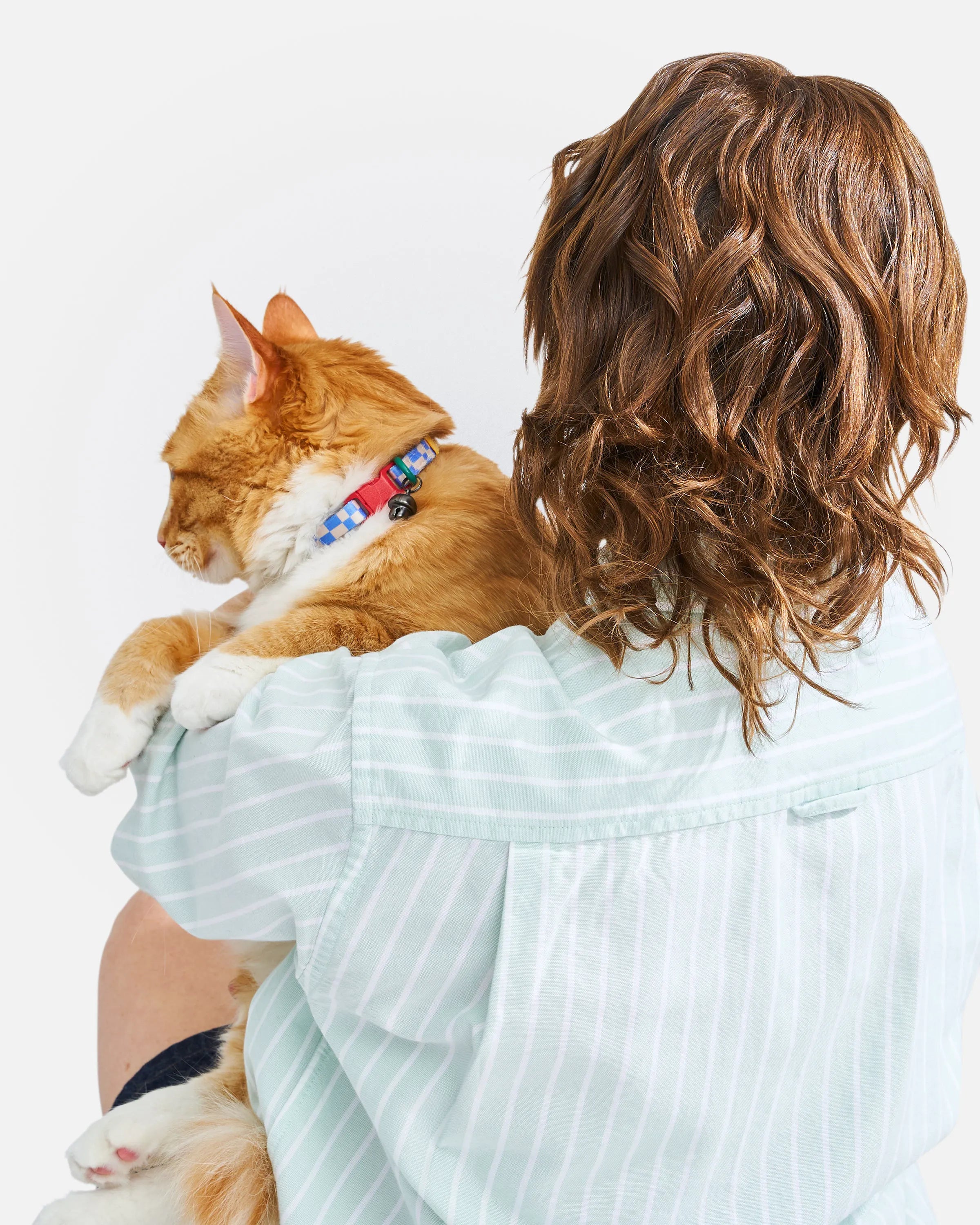 Breakaway Cat Collar