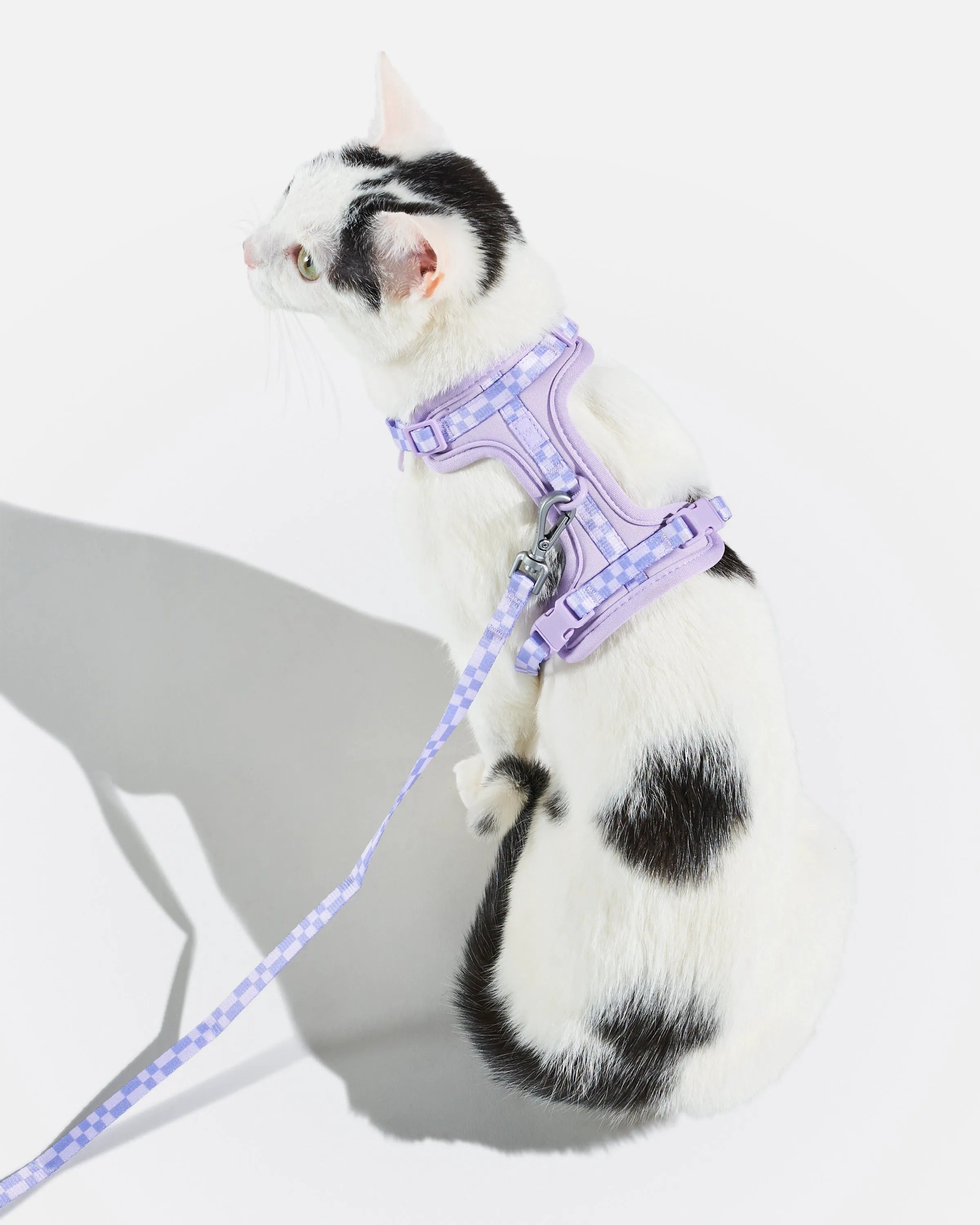 Cat Harness & Leash