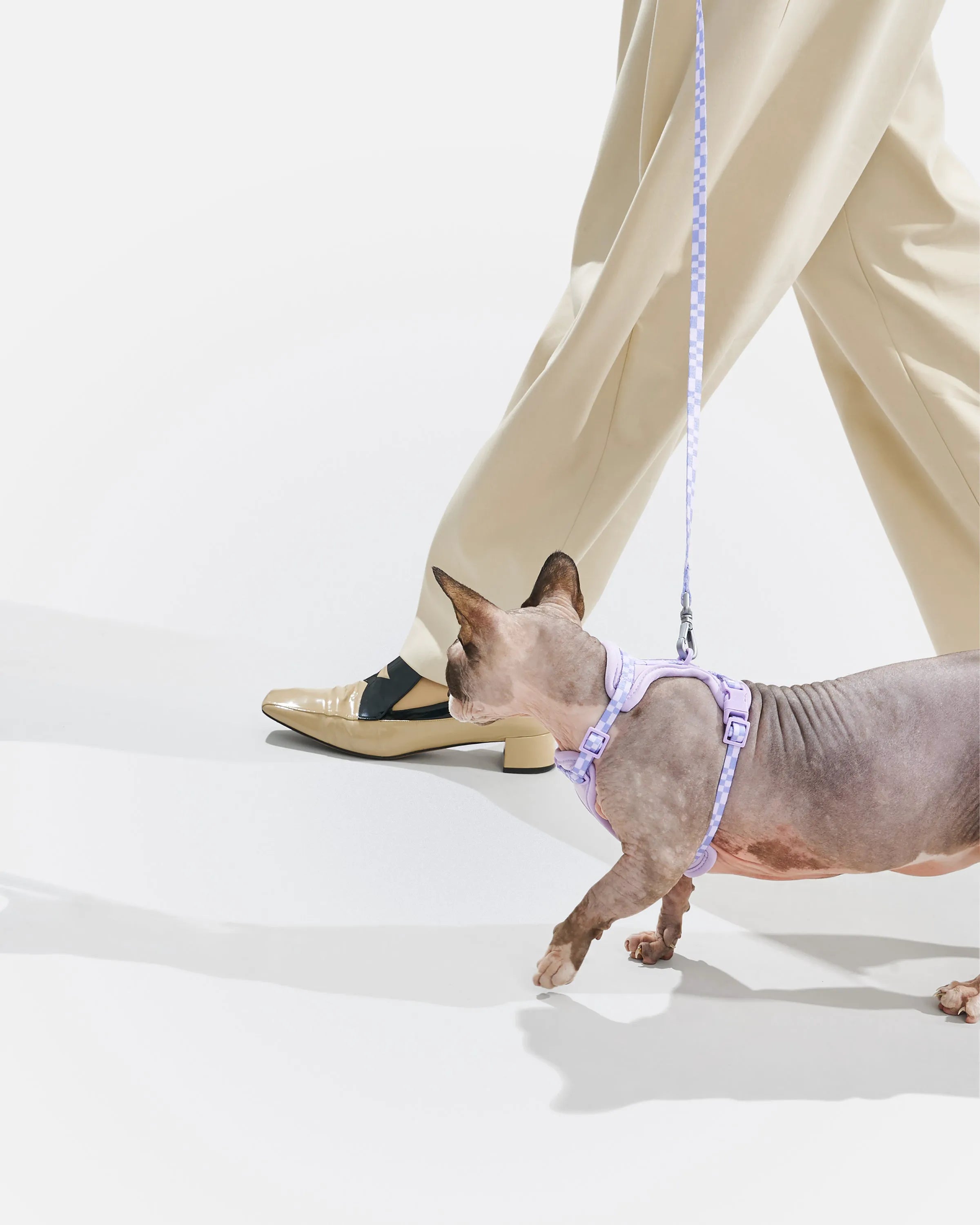 Cat Harness & Leash