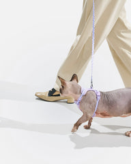 Cat Harness & Leash