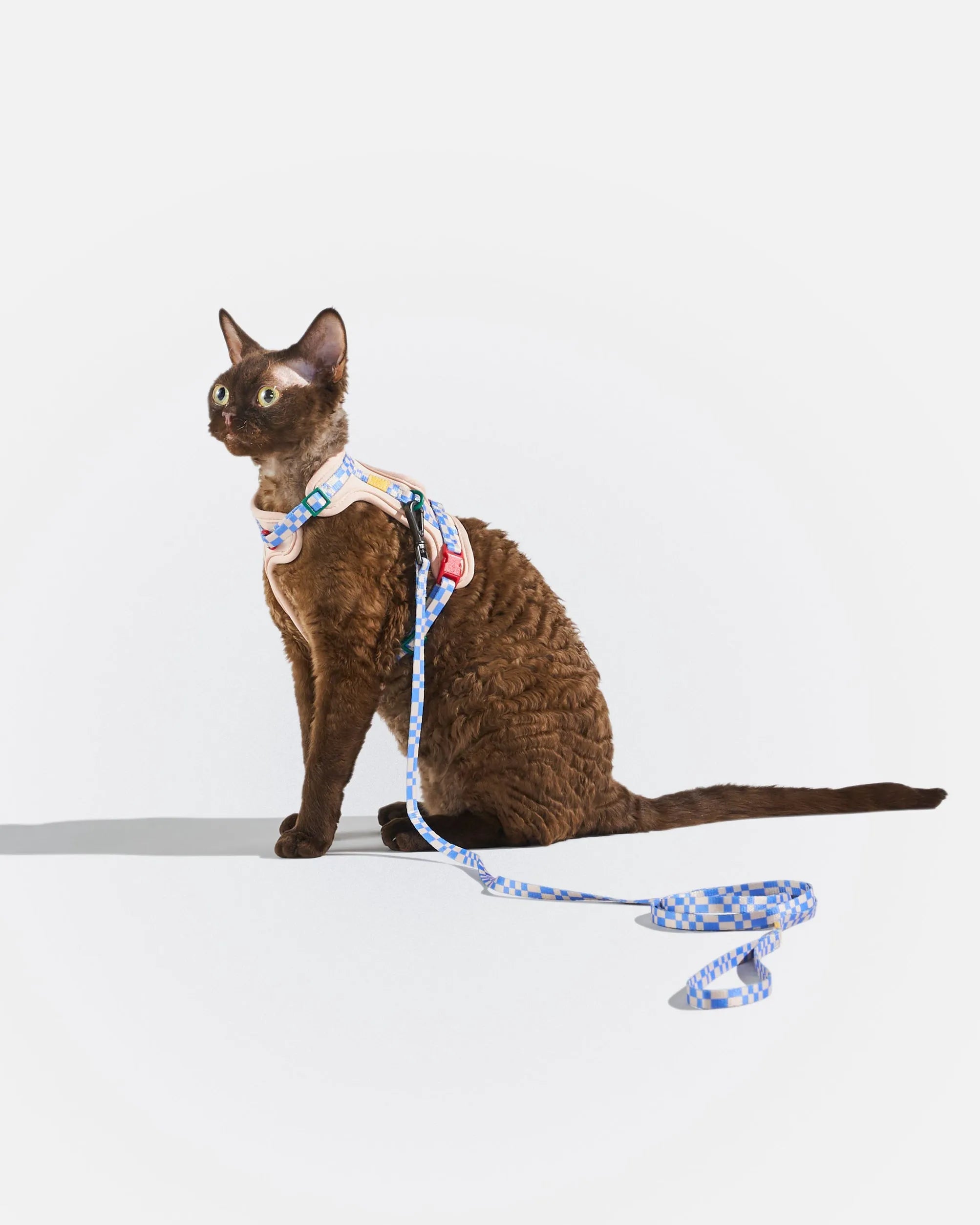 Cat Harness & Leash
