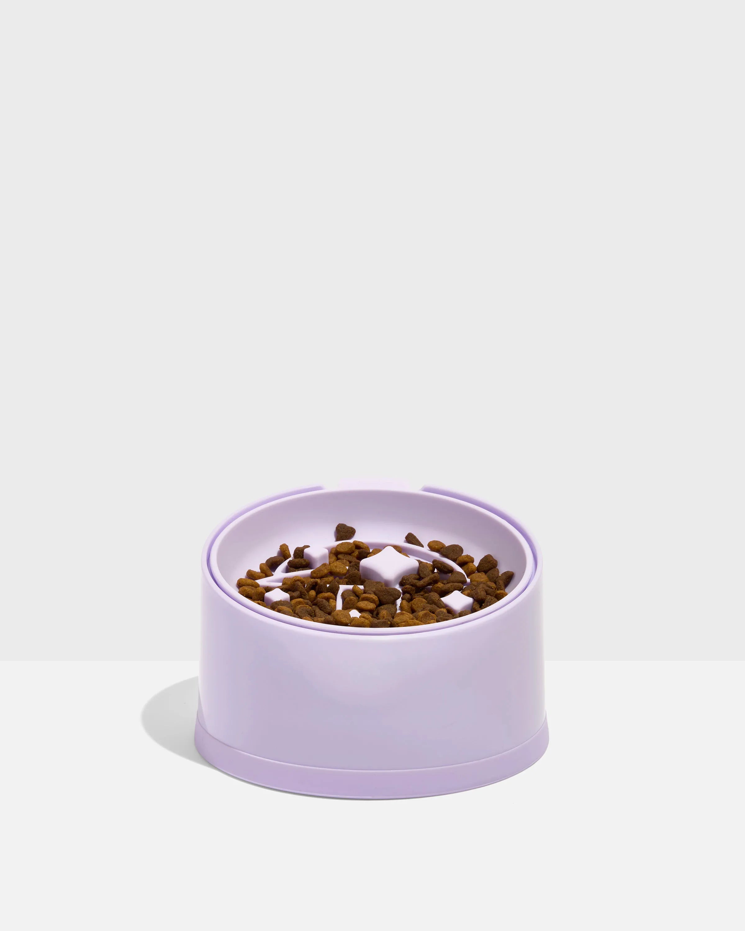 Cat Slow Feeder