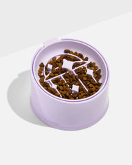 Cat Slow Feeder