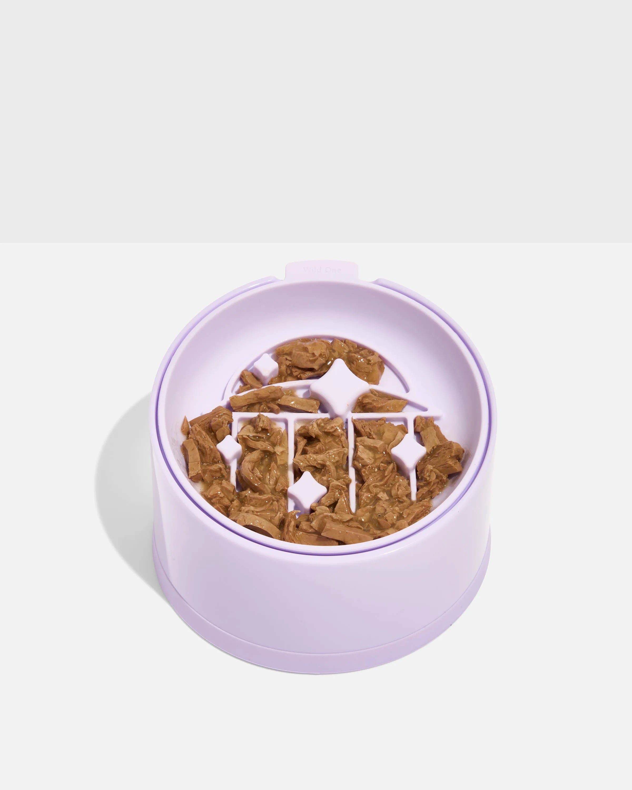 Cat Slow Feeder