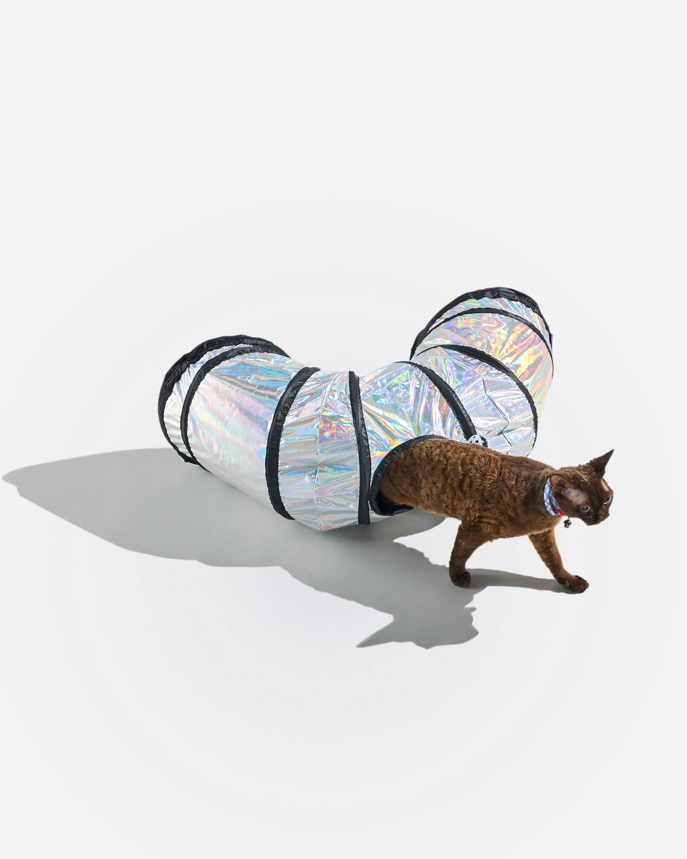 Interactive Cat Tunnel for Play and Exercise