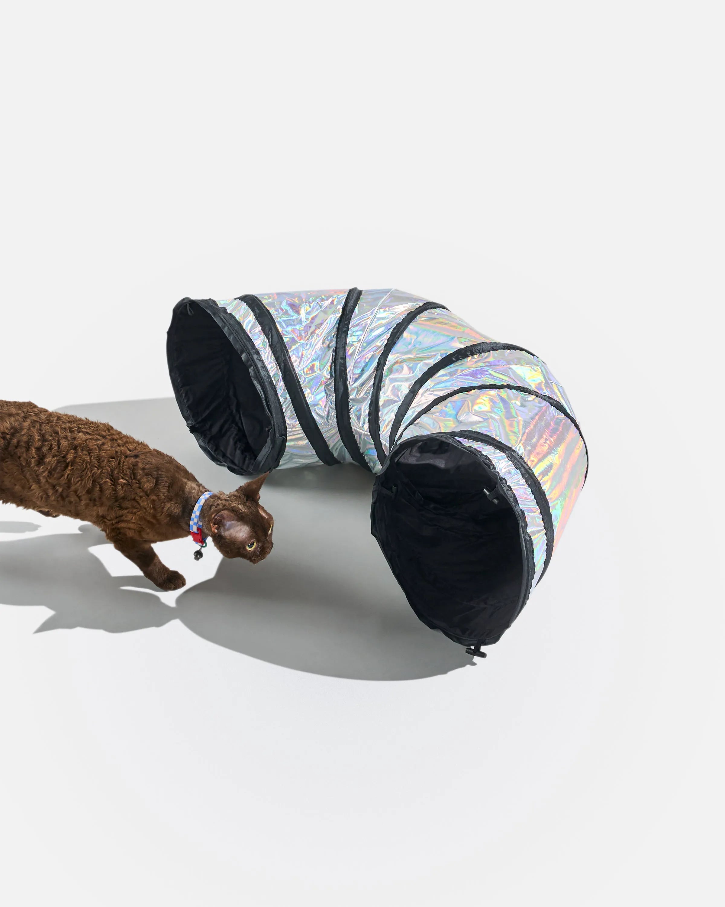 Interactive Cat Tunnel for Play and Exercise