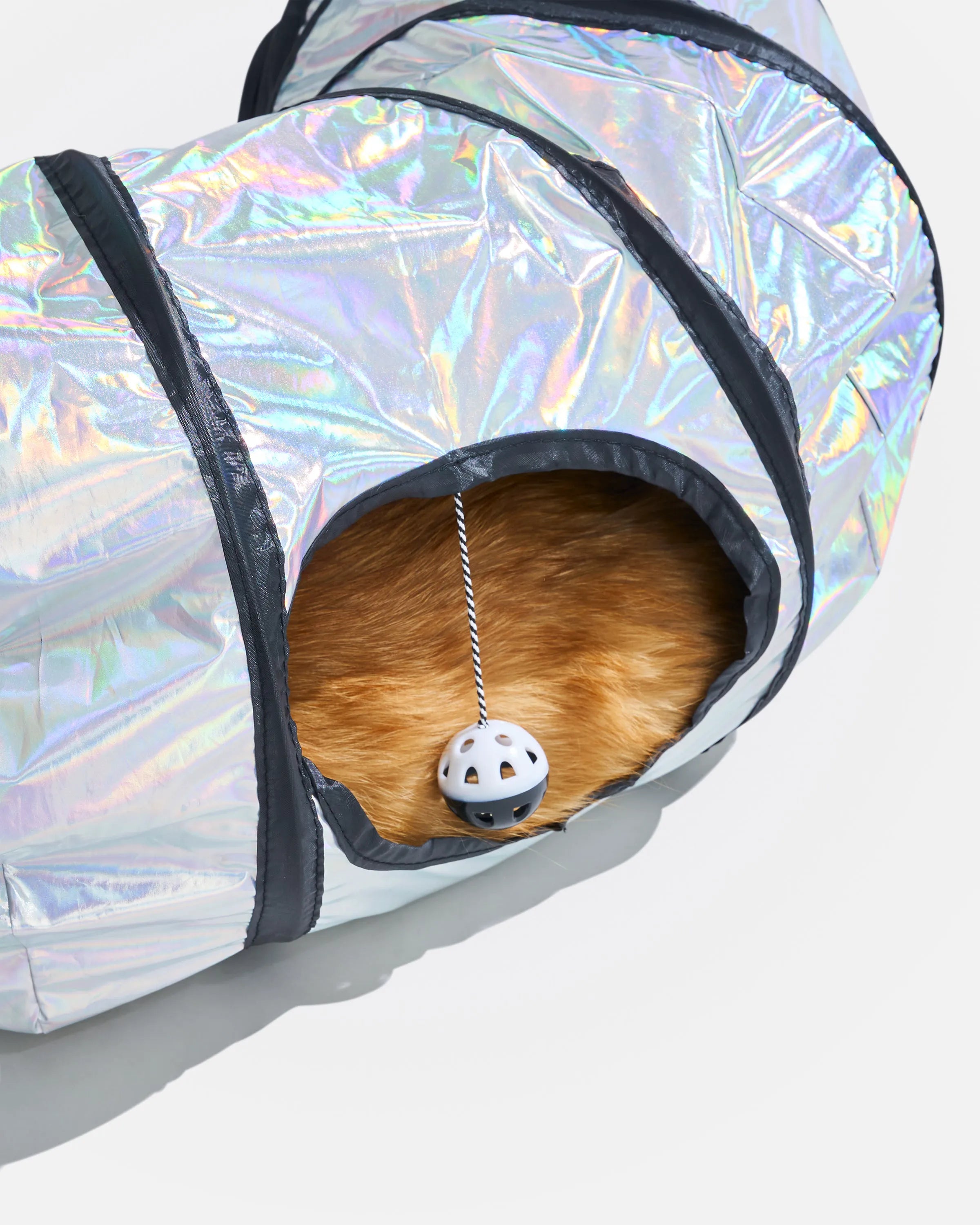Interactive Cat Tunnel for Play and Exercise