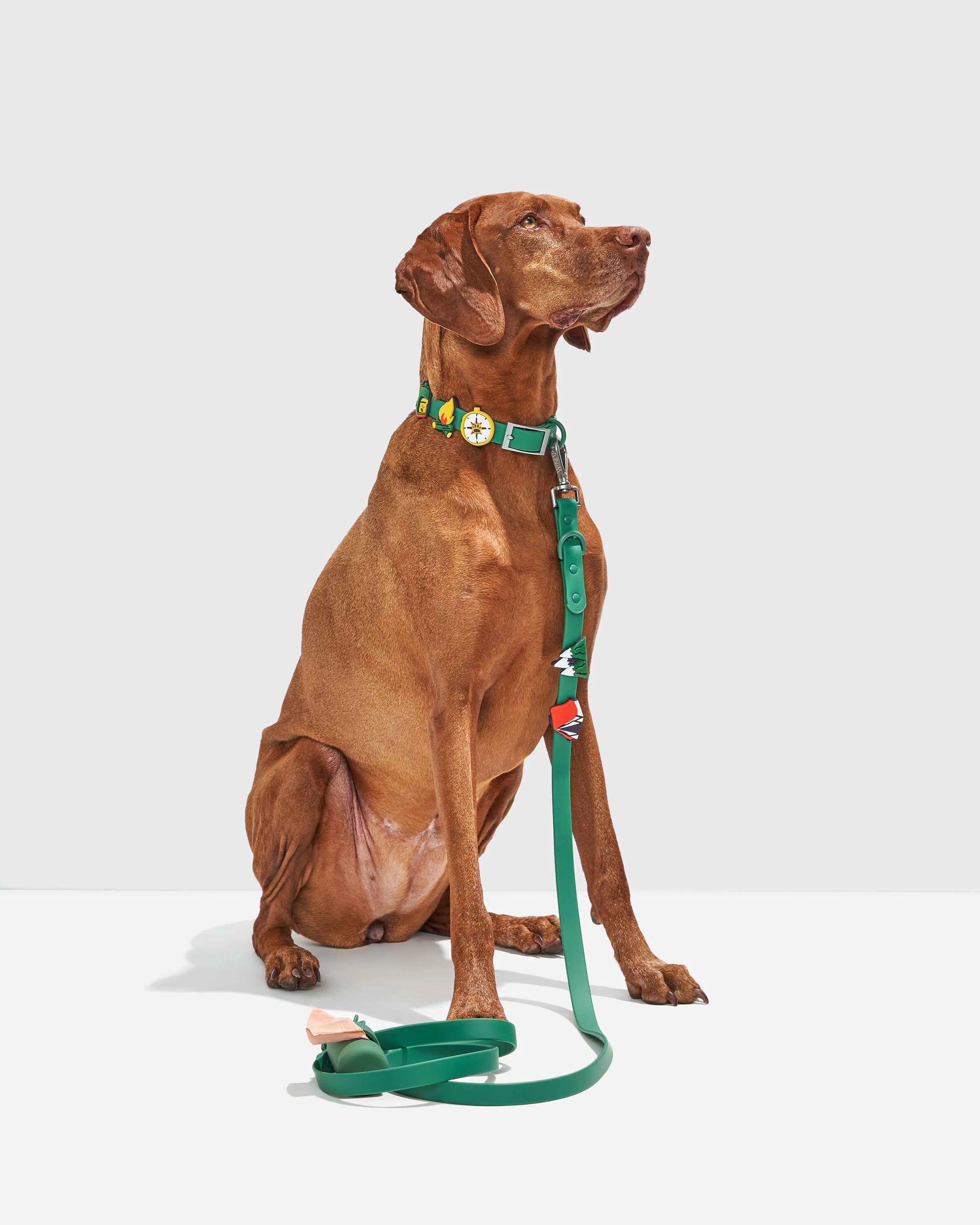 Dog Flair Pack