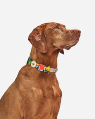 Dog Flair Pack