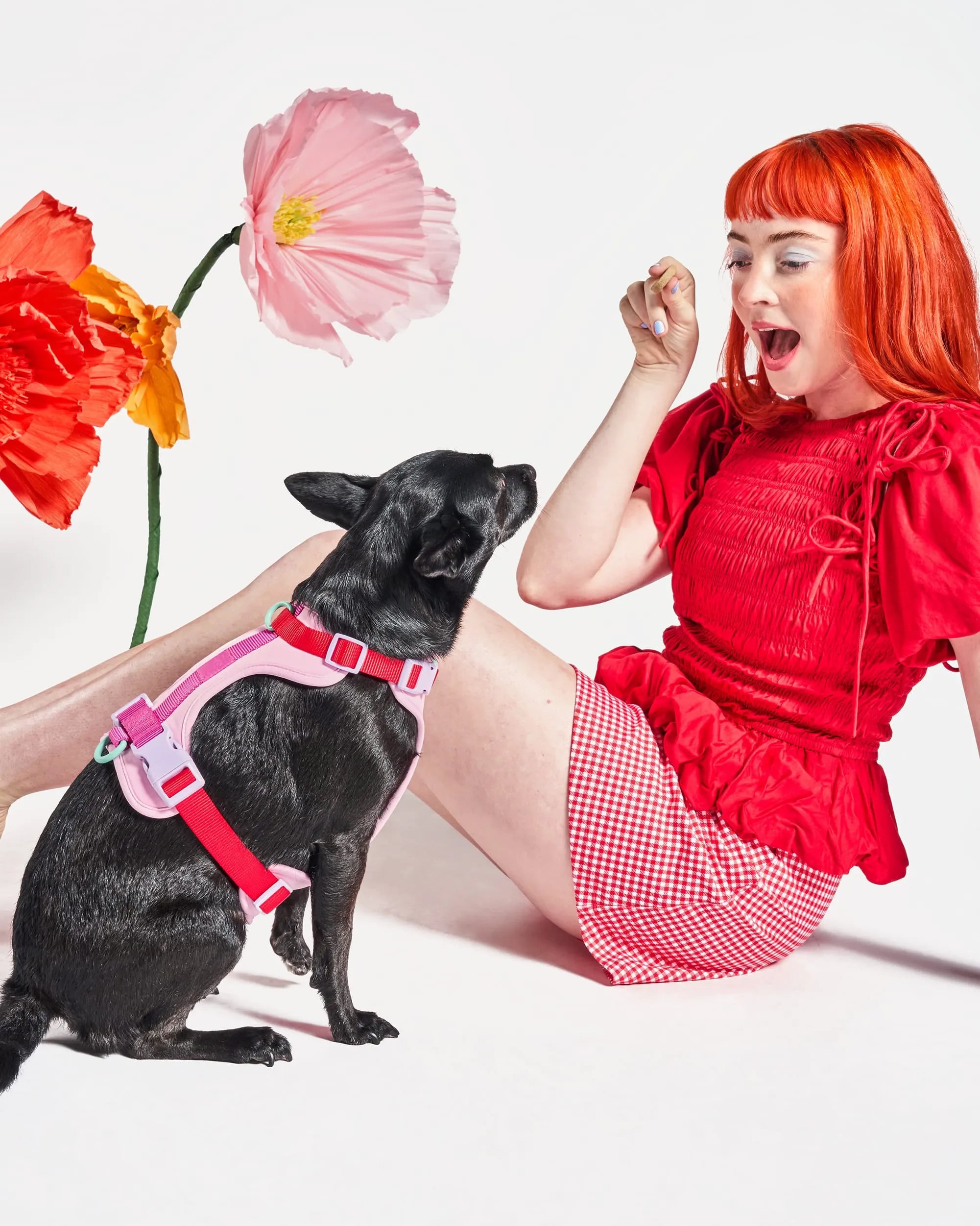 Cushioned Dog Harness