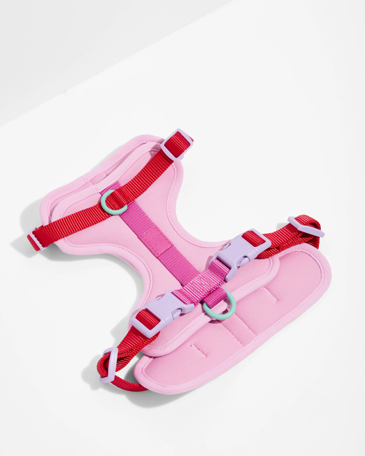 Cushioned Dog Harness