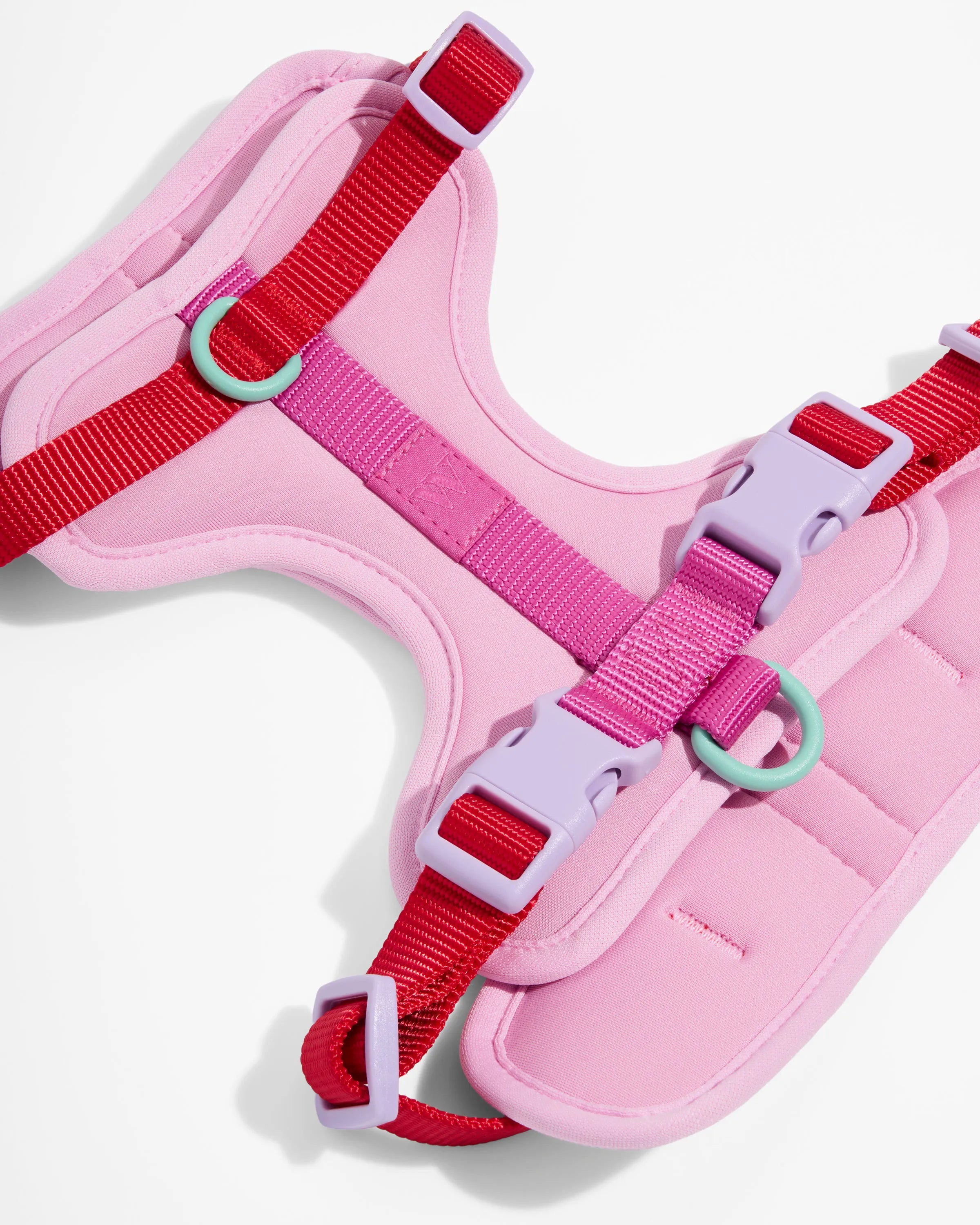 Cushioned Dog Harness