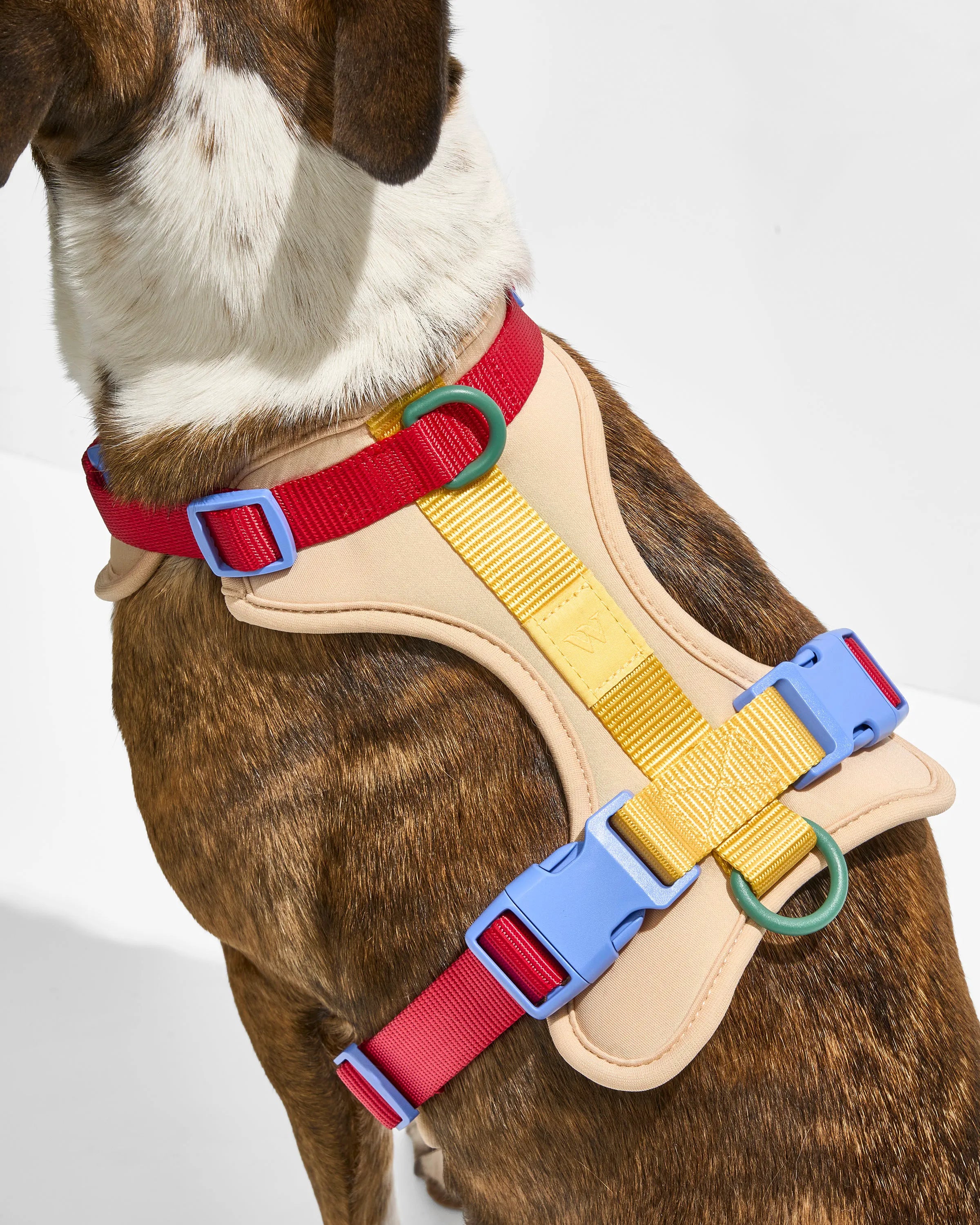 Cushioned Dog Harness