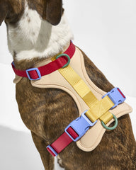 Cushioned Harness & Waterproof Leash Walk Kit