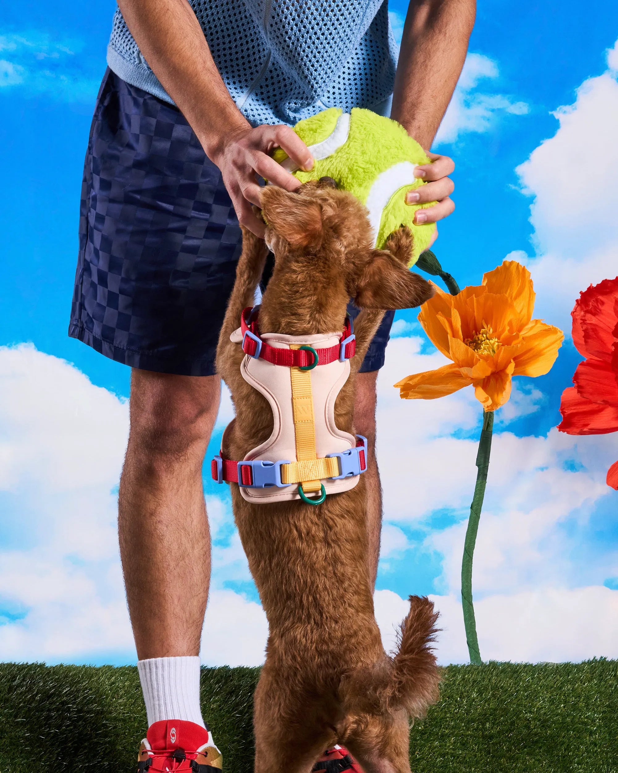 Playful Plush Dog Toy