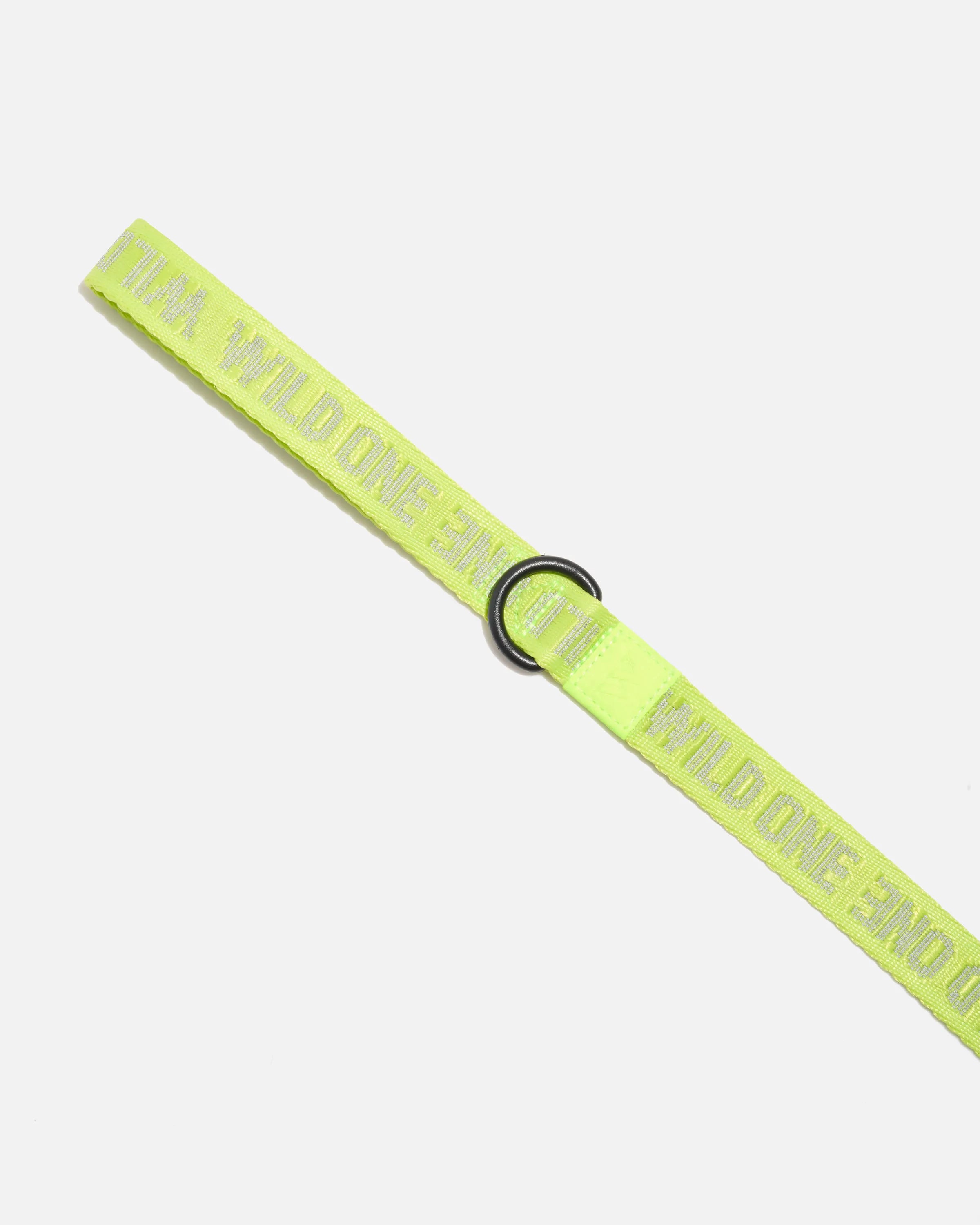 Lightweight Dog Leash