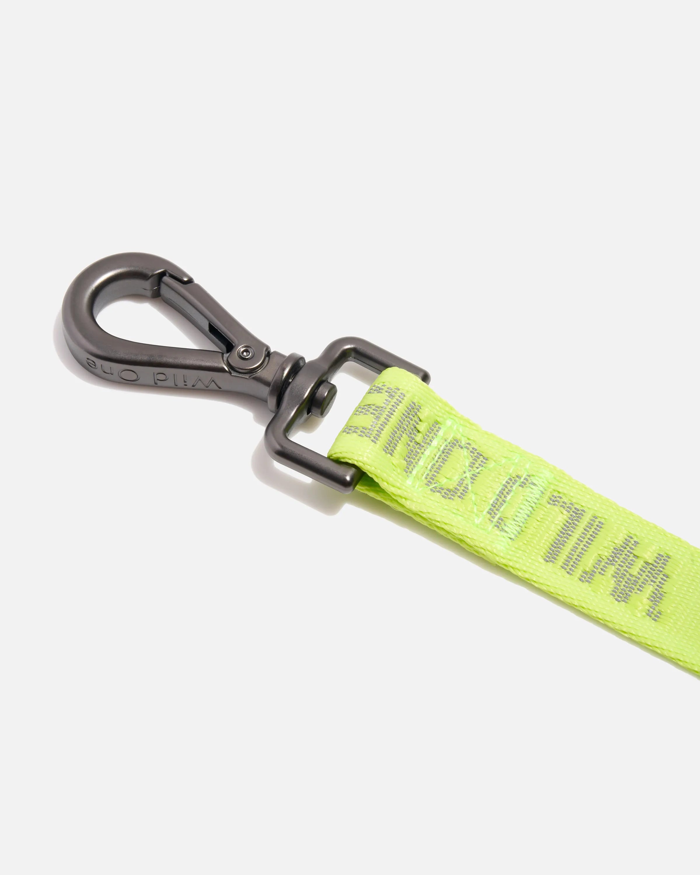 Lightweight Dog Leash