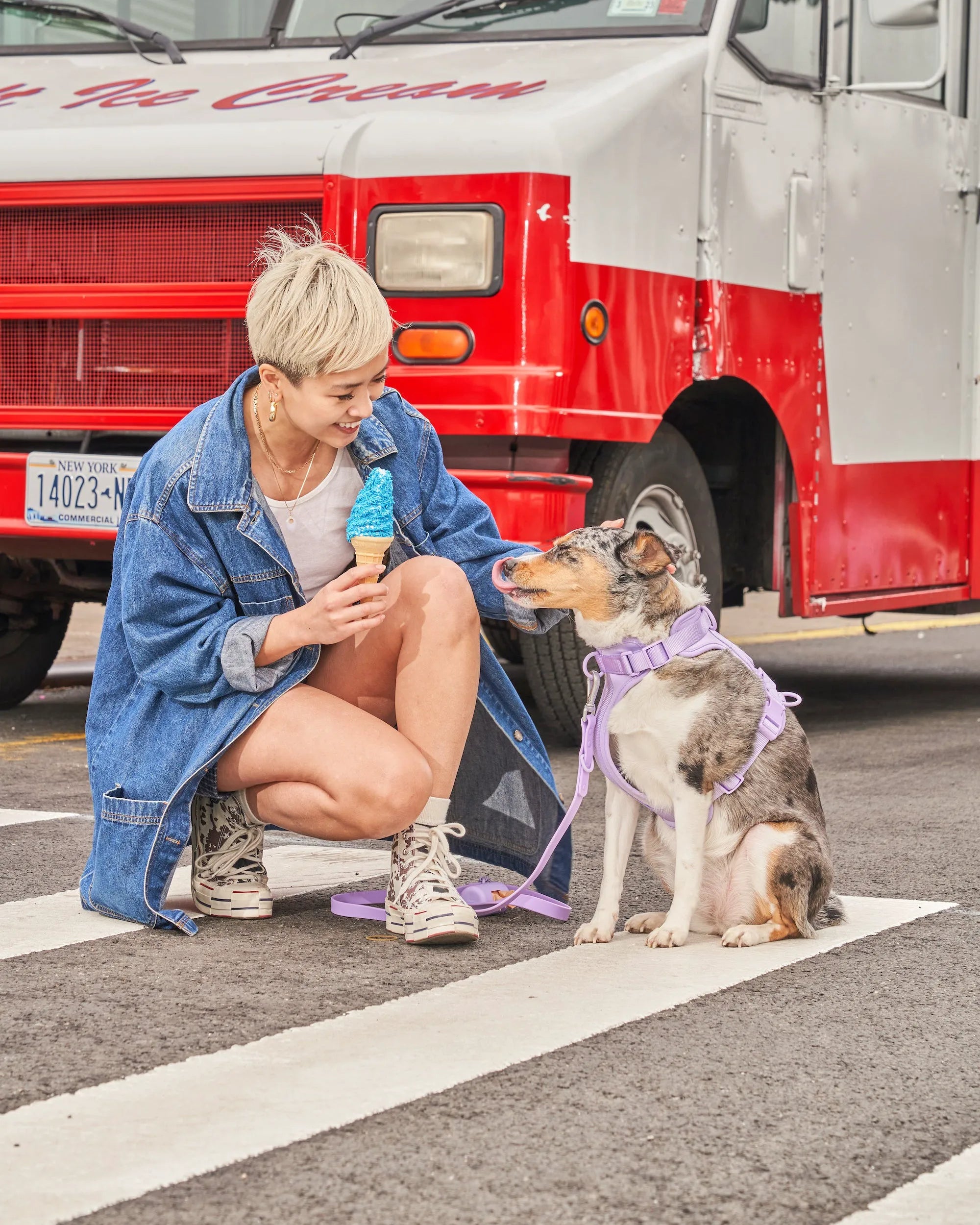 Cushioned Dog Harness