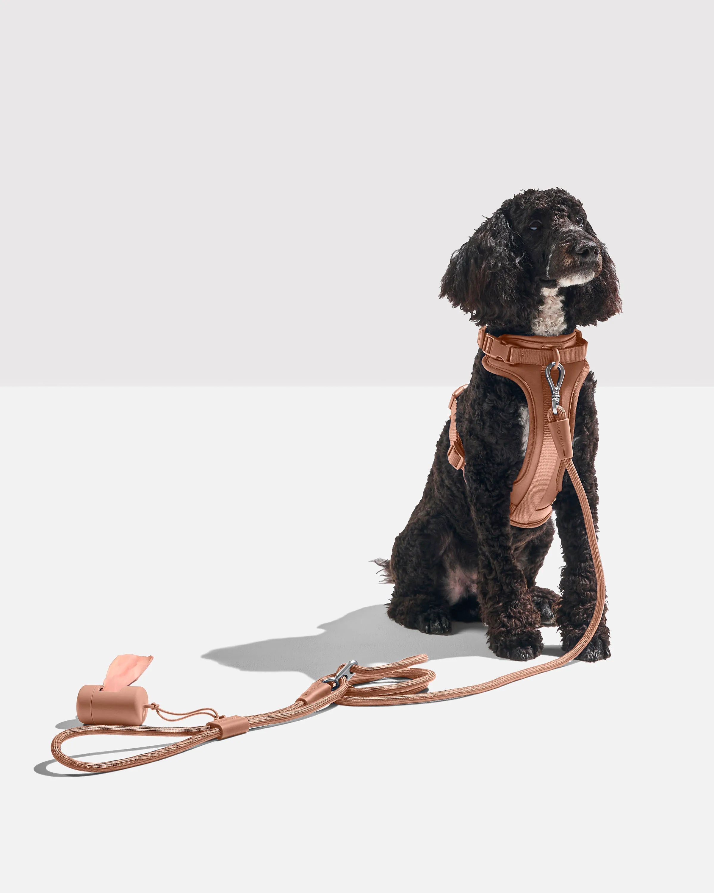 Hands-Free Rope Dog Leash